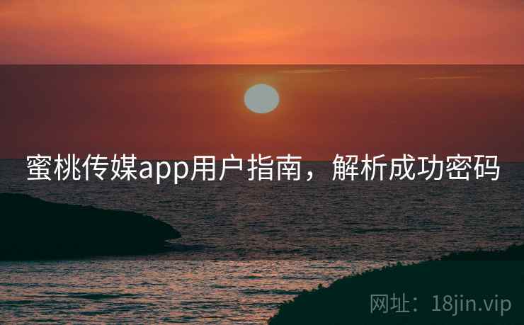 蜜桃传媒app用户指南，解析成功密码